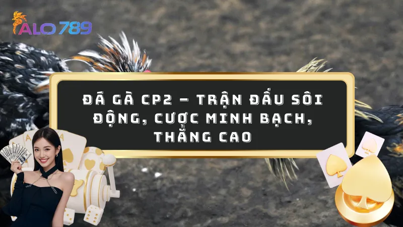 Đá gà CP2