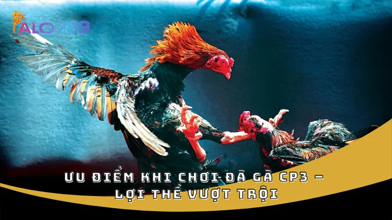 Ưu điểm khi chơi đá gà CP3 – Lợi thế vượt trội