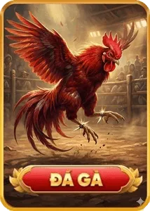 da-ga-alo789vng-2026